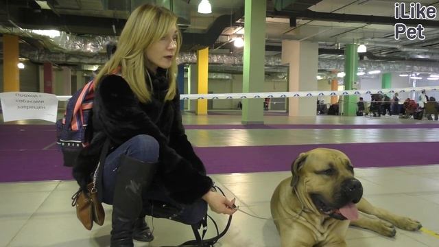 Уход за южноафриканским бурбулем смотреть онлайн