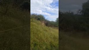 ⛔Памятка: Опорная стена ( межевание с соседним участком)