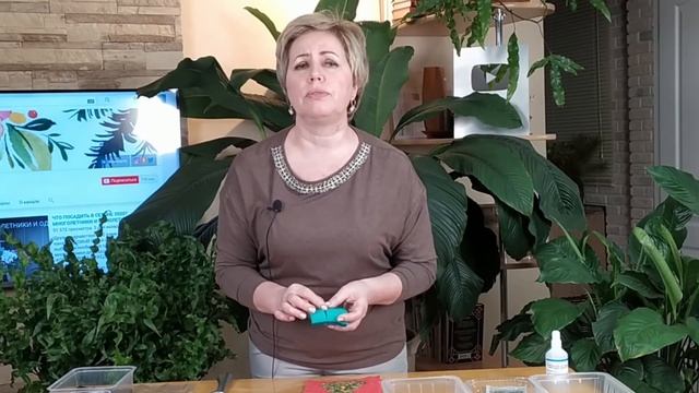СЕЗОН 2020: ПОСАДКА ДЕЛЬФИНИУМА Полная инструкция / Садовый гид
