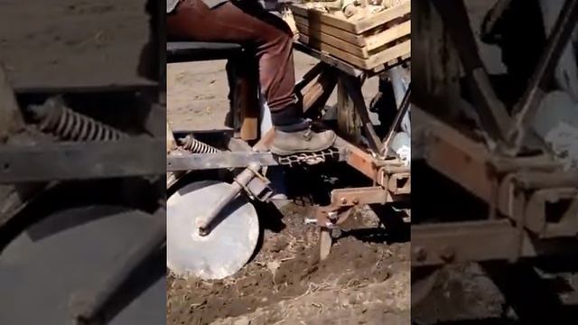 Посадка картохи смотреть онлайн