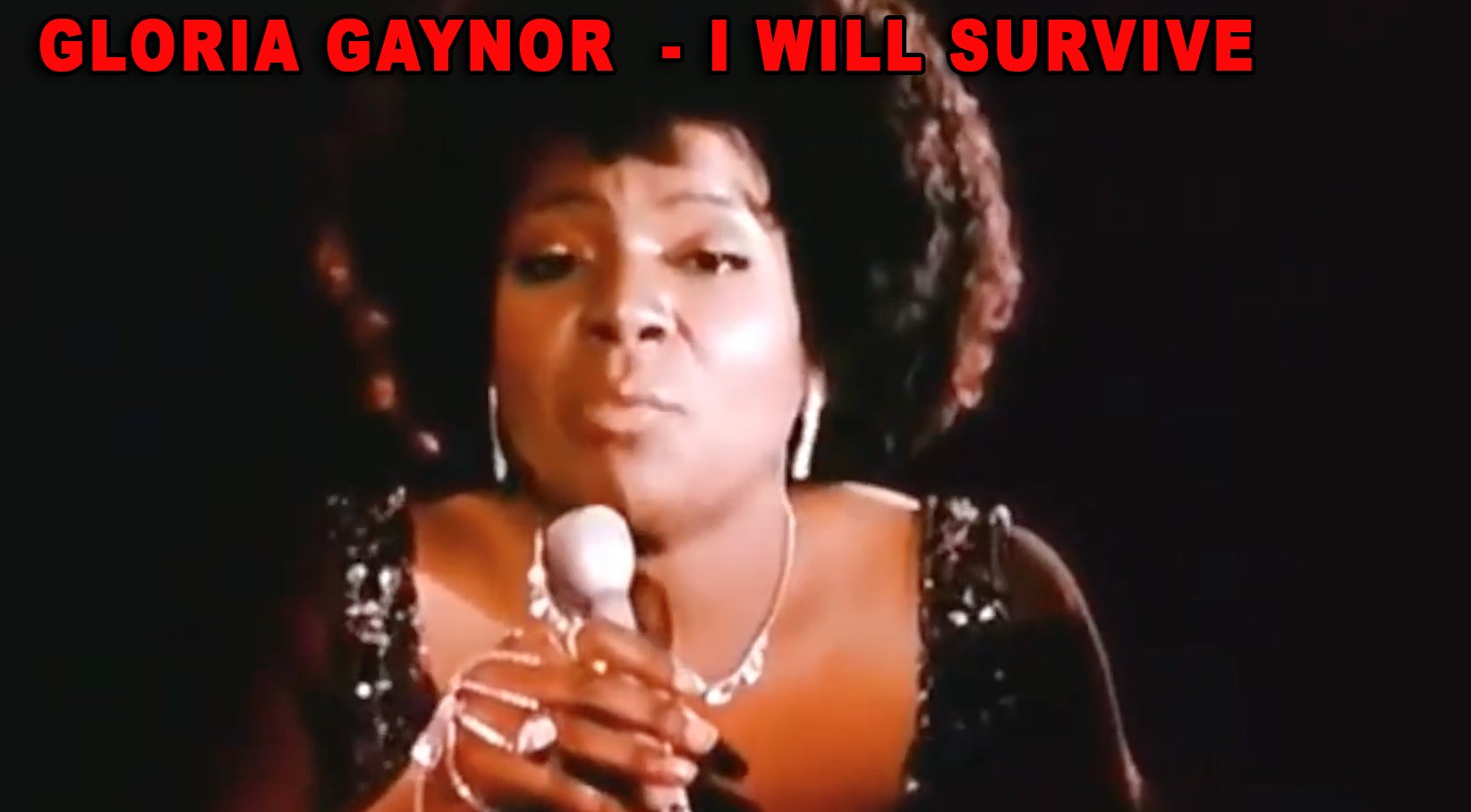 GLORIA GAYNOR  - I Will Survive 1978