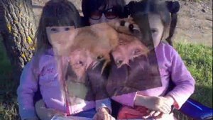 Необыкновенная, ласковая, нежная....