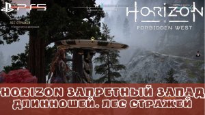 Horizon Запретный Запад / Forbidden West. Длинношей Лес стражей. Без комментариев