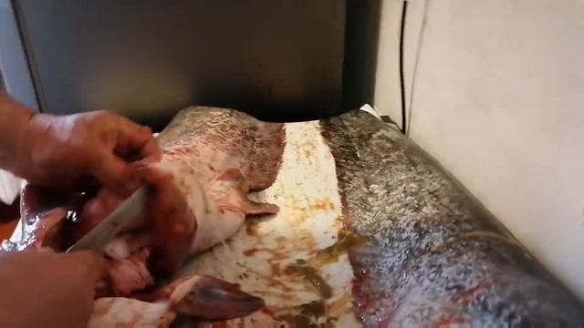 Как почистить СОМА. смотреть онлайн