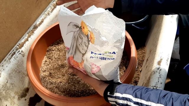 КАК ПРИЩИПЫВАТЬ ПЕТУНИЮ?ЛЕГКИЙ СПОСОБ Чтобы пышно и красиво цвела все лето