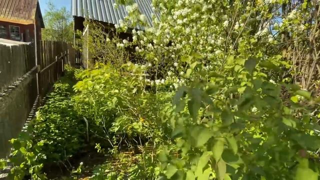 Делюсь самым сокровенным! Дана взяла опеку над моим сыном 🍀