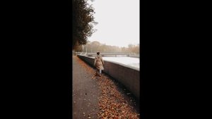 Мой листопад