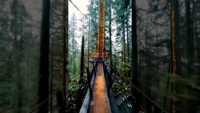 Capilano Suspension Bridge | Vancouver, Canada