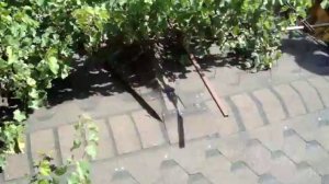 Монтаж гибкой черепицы на беседку своими руками