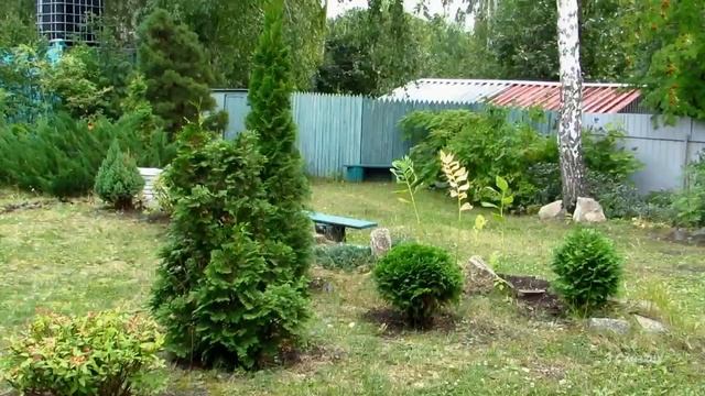 Мой сад  2019  (  Садовые композиции  эконом.сада)