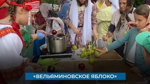 «Вельяминовское яблоко»