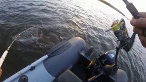 Река Ахтуба. Трудовой троллинг в октябре 2020 года.