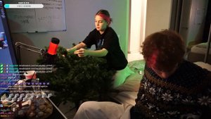 АКУЛИЧ И КОРЕШ СТАВЯТ ЕЛКУ