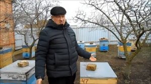 Почему зимовка в двух корпусах Рута
