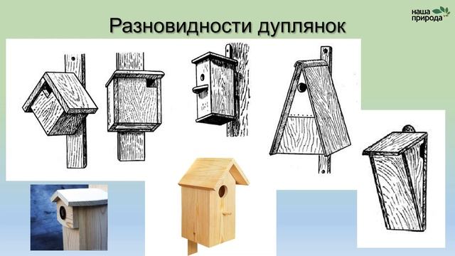 Онлайн-лекция «Искусственные гнездовья для птиц» / Алексей Куприянов смотреть онлайн