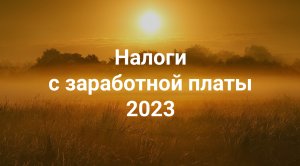 НДФЛ и страховые взносы 2023 + Удобная статья-справочник + Бесплатный ПРАКТИКУМ на Stepik!