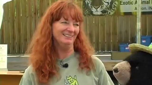 Children's Video Series: That's Amazing! Noah 2 смотреть онлайн