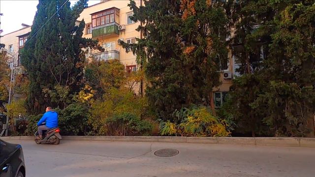 ЯЛТА УЛИЦА САДОВАЯ .СКВЕР НА САДОВОЙ. СОБАКИ СО МНОЙ ИДУТ / Жизнь в Ялте