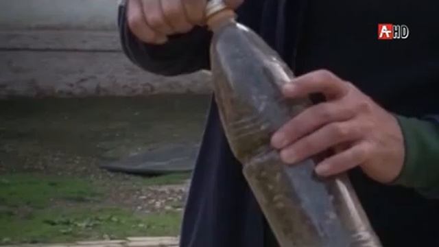 В Абхазии продолжается борьба с коричнево мраморным клопом смотреть онлайн