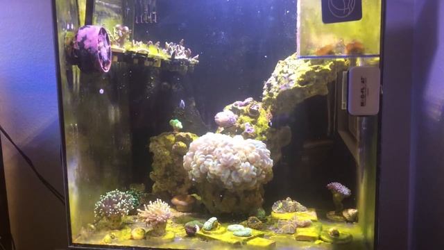 Apex Dashboard Setup w/ End Surprise смотреть онлайн