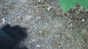 ГДЕ НАЙТИ МЕДЬ И СВИНЕЦ В ГОРОДЕ. ЦВЕТНОЙ МЕТАЛЛ ВОКРУГ НАС