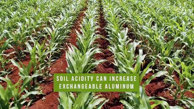 Tropical Farming… How To Farm When The Weather Is Always The Same! смотреть онлайн