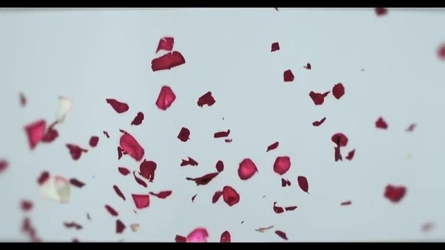 20 апреля 2020 г. смотреть онлайн