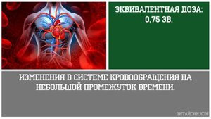 Последствия Облучения Радиацией | Как влияет на человека радиация? | Энтайсин.ком
