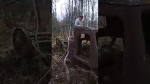 Нашли трактор в лесу