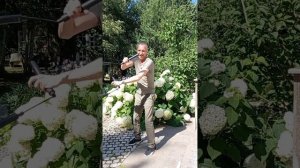 VID_20220811_112159(0).mp4