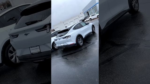 2023 Ford Mach-E VS 2023 Tesla Model Y