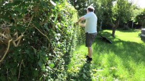 6 Years Later - Ryobi ONE+ 18V Hedge Trimmer OHT1855R - 1311