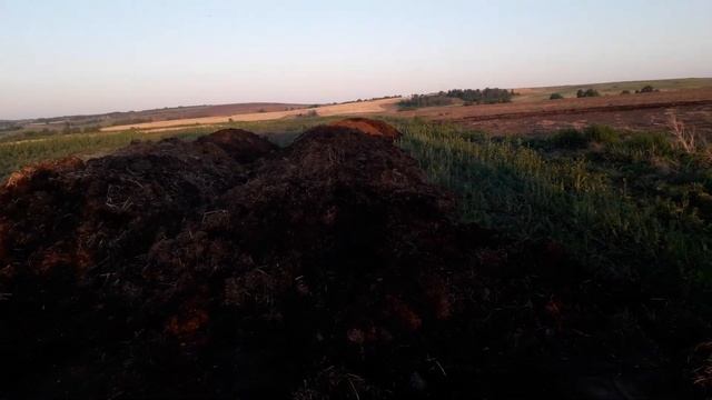Разбрасываю навоз! Разбрасыватель органических удобрений РОУ-6