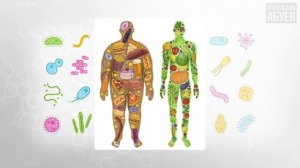 Как похудеть без голодовки физических нагрузок быстро Нуркасым Абуев