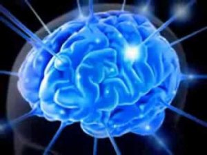 Dark perception project - Reincarnation.wmv