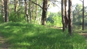 Александр Маршал Мой дом Россия