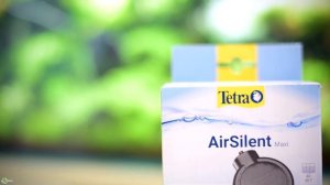 Рыбки для самого маленького аквариума ТОП