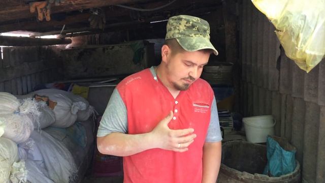 Отлучили поросят! Предстар! Откорм свиней! Свиноводство! смотреть онлайн