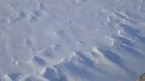 БК Ростин,по снегу.Отзыв.