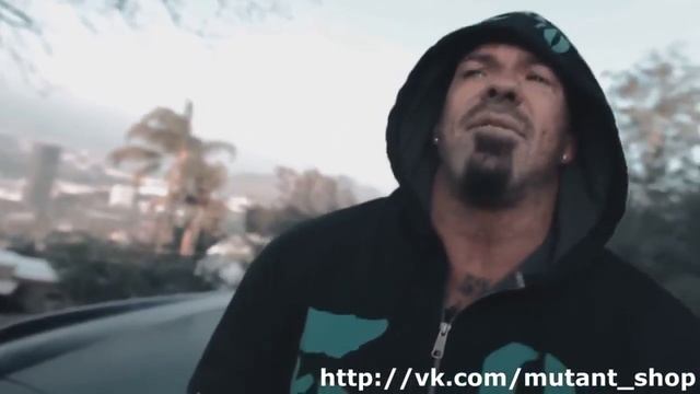 Рич Пиана об успехе в жизни смотреть онлайн