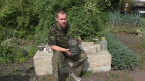 Как размножить чубушник