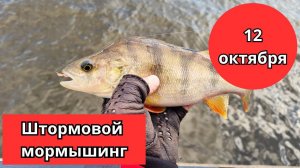 #46 #мормышинг Штормовая погодка и мормышинг на Аптекарской набережной. Нормально ловится!