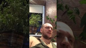 Ципралекс