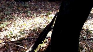 JIANSHE 250ATV квадроцикл трудяга