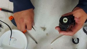 KRUPS mini me Dolce Gusto KP1201 Not draining up