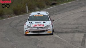 Peugeot 206 WRC Pure Sound