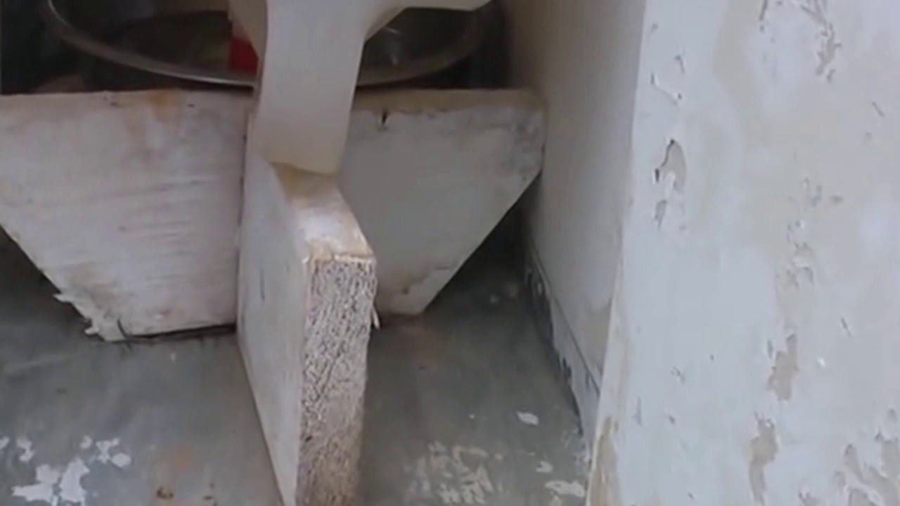 Кроликоферм в Фоки.