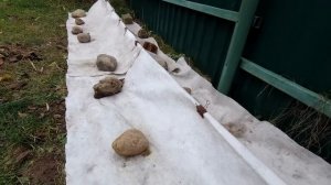 ??Сухое Укрытие Винограда на Зиму