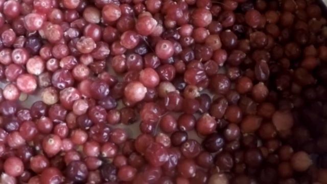 Хэллоуин. Отрубленная рука. DIY. смотреть онлайн