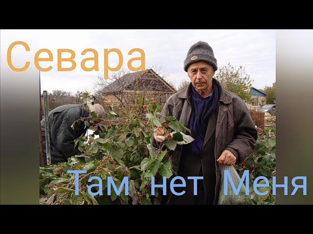 Севара - Там нет Меня (из К/ф «Чебурашка», памяти Моему Дедушке посвящается)
